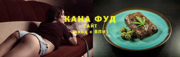 гидра Бородино