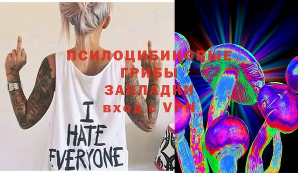 гидра Бородино