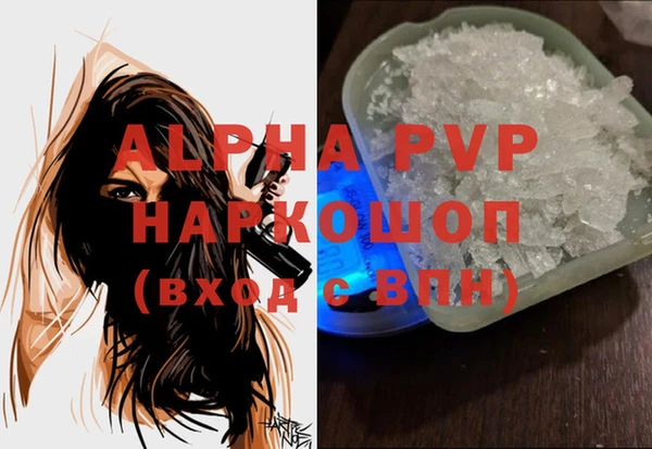 гидра Бородино