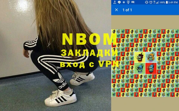 гидра Бородино