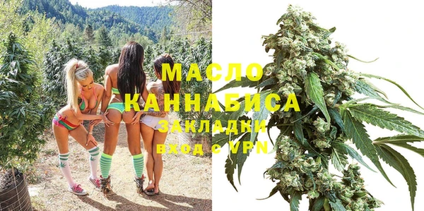 гидра Бородино