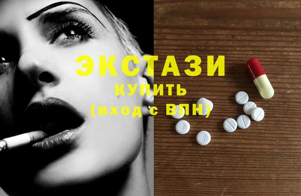 гидра Бородино