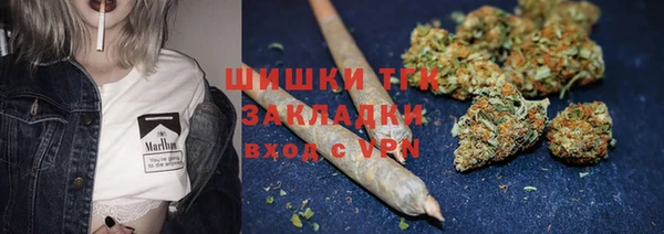 гидра Бородино