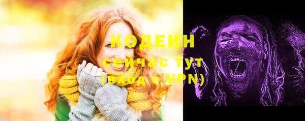гидра Бородино
