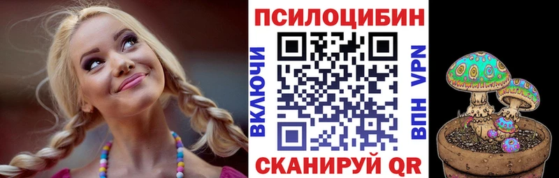 Купить закладки  Бежецк  Галлюциногенные грибы MAGIC MUSHROOMS 